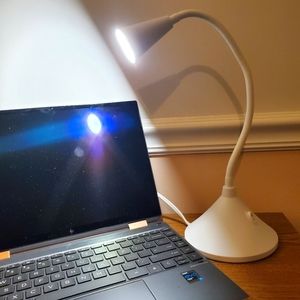 Sunbeam Flexible LED Desk Lamp